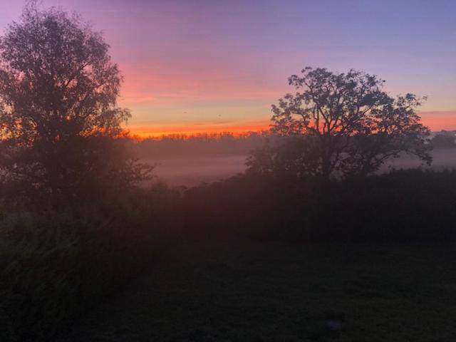 بنسيون Petit Coin De Paradis 1