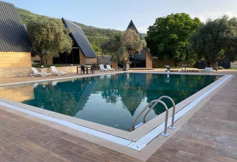 بنسيون çırağan Deluxe Botanik Park Bungolov Evleri