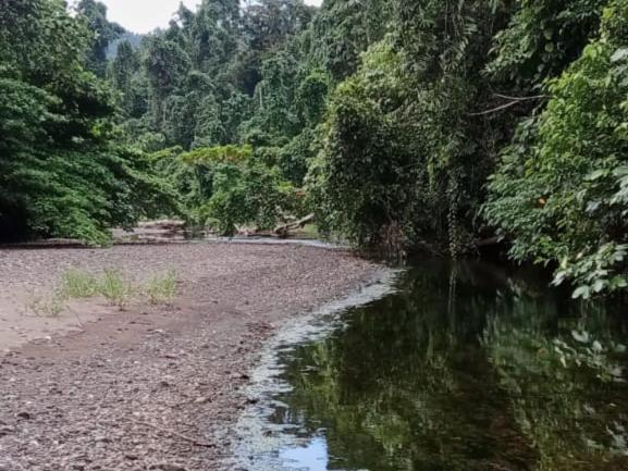 펜션 Risen Raja Ampat