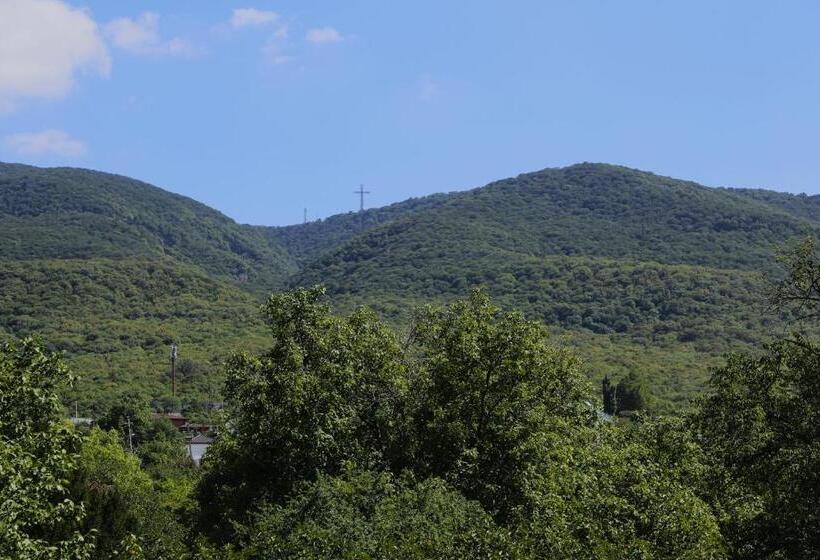 پانسیون Saguramo Bliss