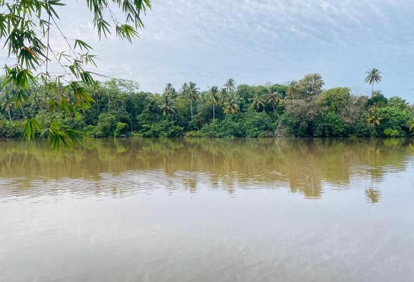 펜션 Zen Aura Living