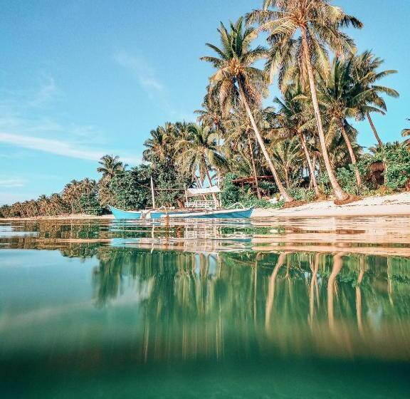 Shakabrah Resort And Skatepark