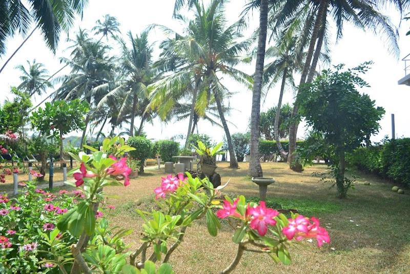 Amaya Beach Hotel Dikwella