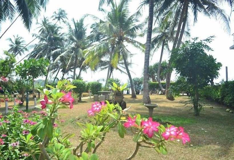 Amaya Beach Hotel Dikwella