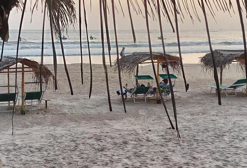 Amaya Beach Hotel Dikwella