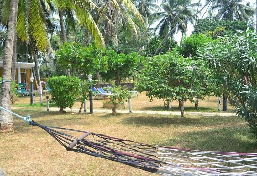 Amaya Beach Hotel Dikwella