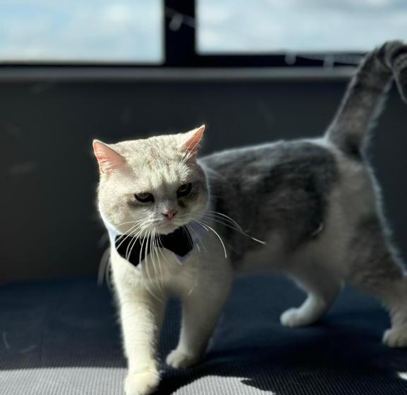 צימר Dublin Private Room