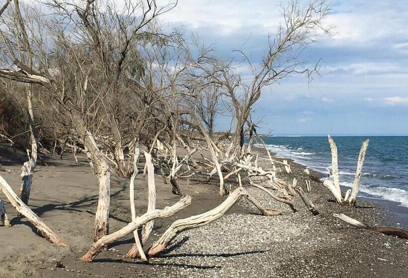 Bed and Breakfast Tenuta Fichi D India