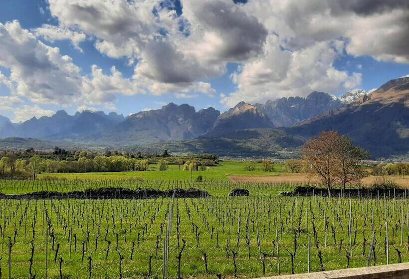 Отель Agriturismo Villa Di Modolo Cortile Della Latteria