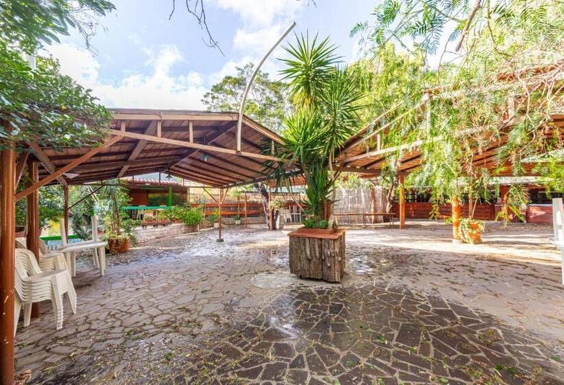 Отель Badde Rosa