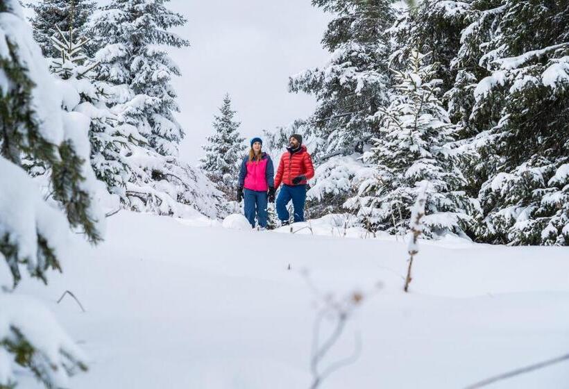 فندق Bazzario Loft