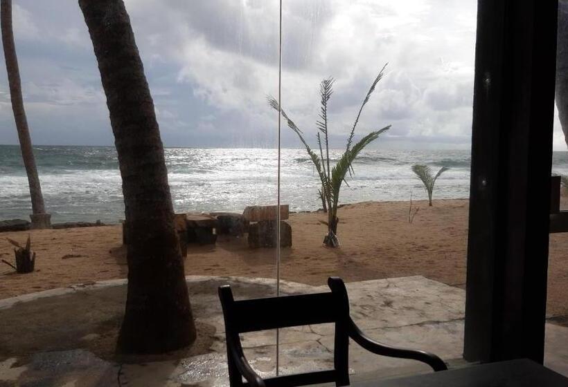 בית מלון כפרי Beauty Coral