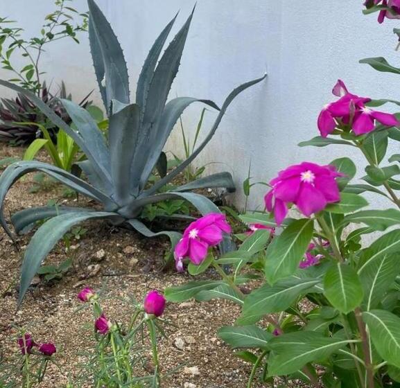 호텔 Casa Esperanza