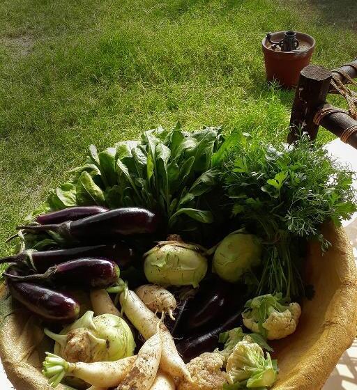 בית מלון כפרי Harano Sur Santiniketan