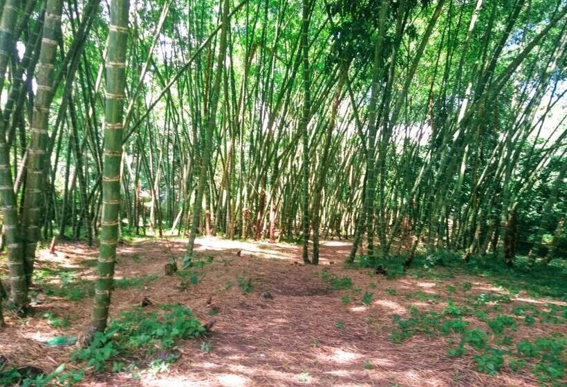 호텔 La Playa Villeta