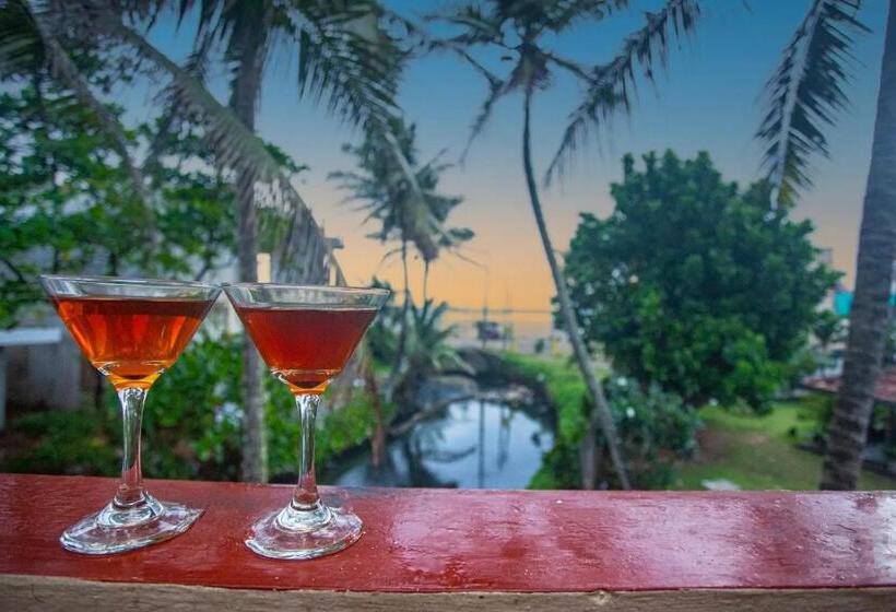 Отель Villa 47 Hikkaduwa