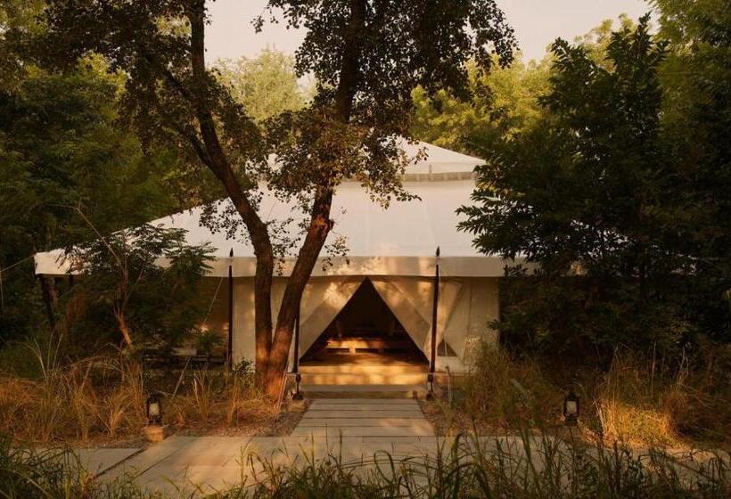 בית מלון כפרי Yatra Desert Camp