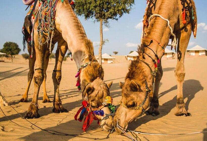 בית מלון כפרי Yatra Desert Camp