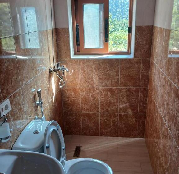 Пансион Ari S Cozy Rooms, Llogara