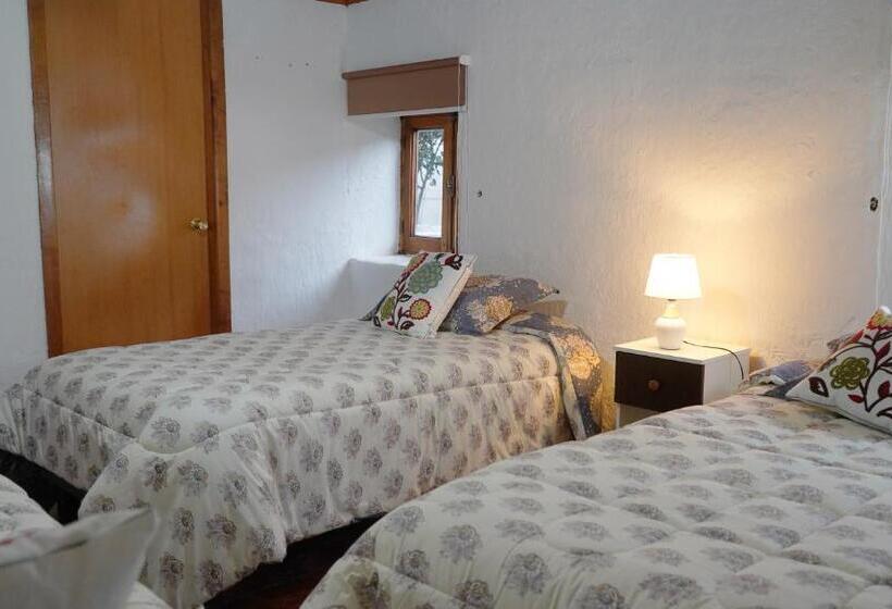 بنسيون Boutique Lolol