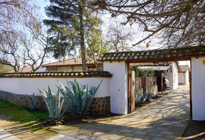 بنسيون Boutique Lolol