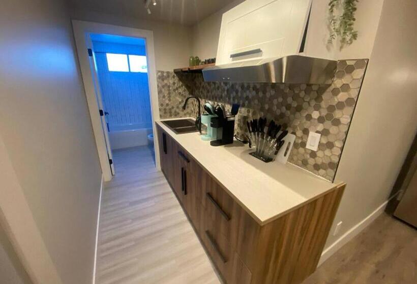 پانسیون Brand New Modern Flat 2br1ba Whyte And University