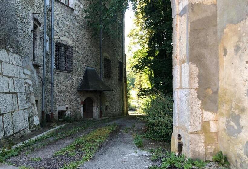 Пансион Chambres Au Chateau Saint Geoire