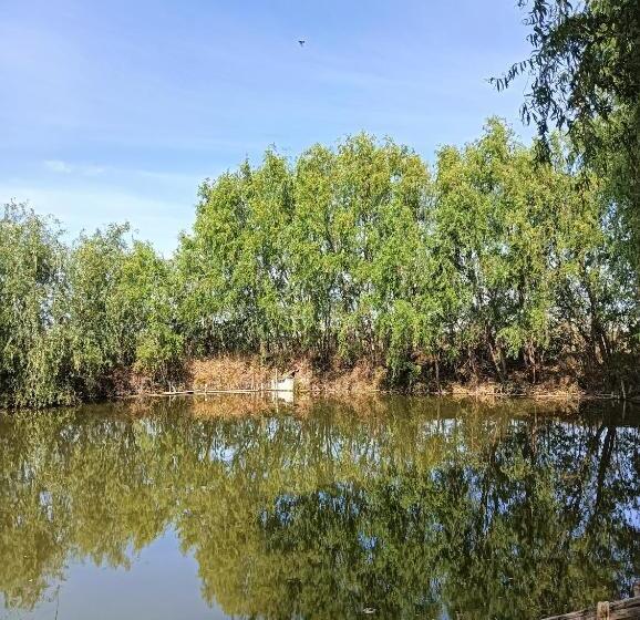 Пансион Clarice