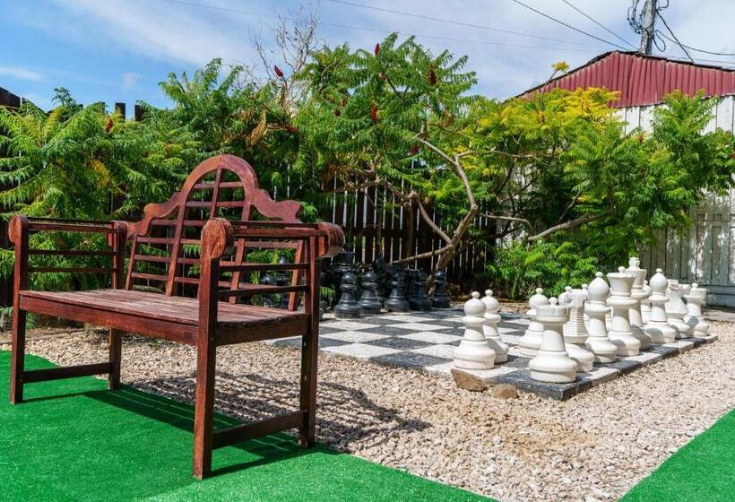 פנסיון Deea Marii Costinesti