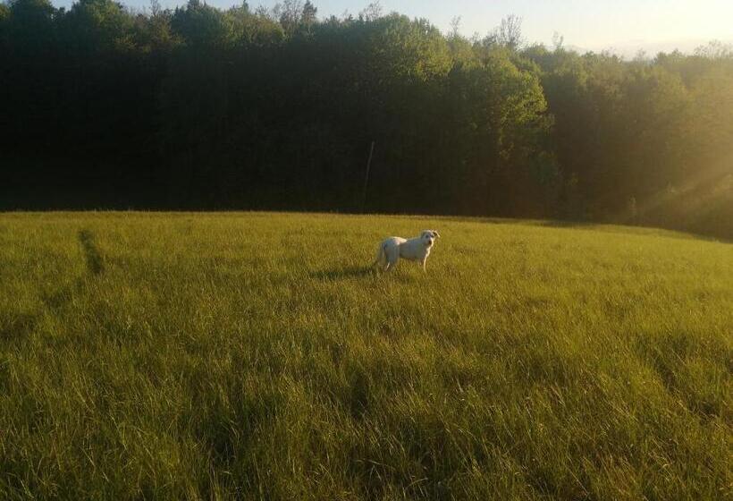 بنسيون La Casetta Di Maria Cristina