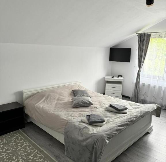 بنسيون La Ilie La Spălătorie