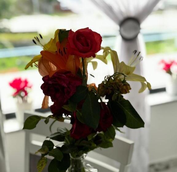 بنسيون La Ilie La Spălătorie