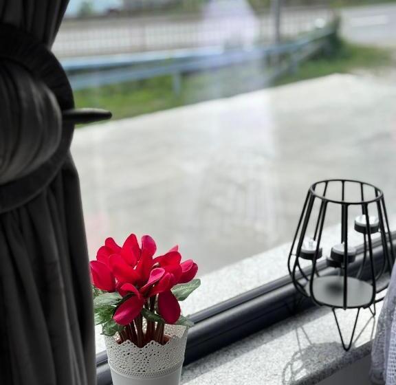 بنسيون La Ilie La Spălătorie