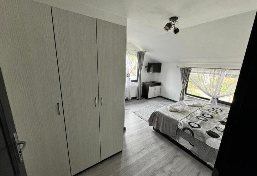 بنسيون La Ilie La Spălătorie