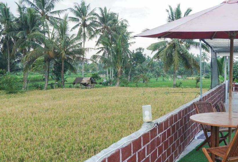 פנסיון Rinjani Terrace Cottage & Resto