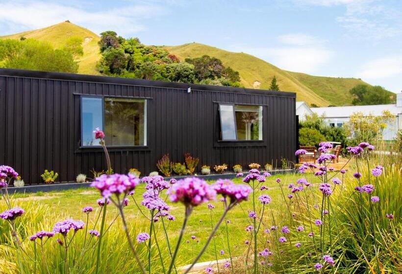 پانسیون Salt Guesthouse