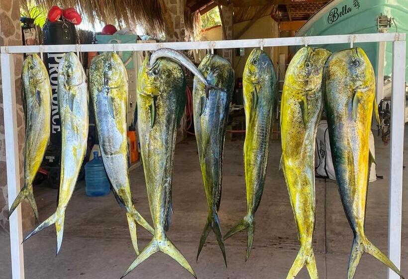 هاستل Luna Loreto