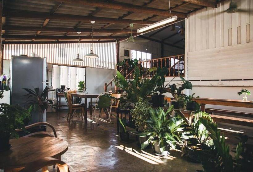 민박 เผลอสุขใจ Cafe And Bad Plursukjai