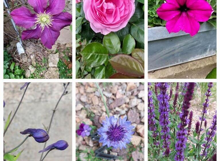 مبيت وإفطار Domaine De Vauvelle