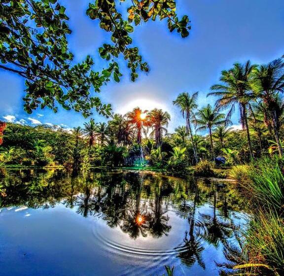 تختخواب و صبحانه Fazenda Jasmim Zen