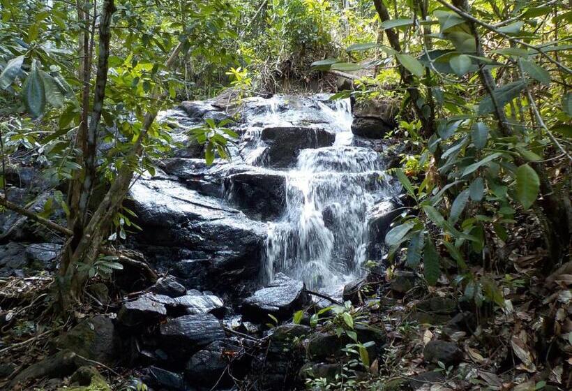 تختخواب و صبحانه Fazenda Jasmim Zen