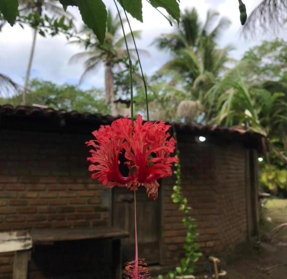 تختخواب و صبحانه Fazenda Jasmim Zen