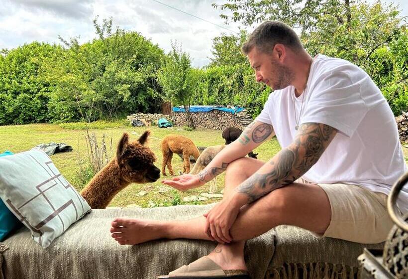 민박 Nana Mac Chambre D Hôtes