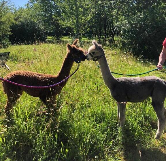 민박 Nana Mac Chambre D Hôtes