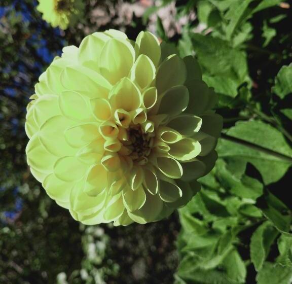 Bed and Breakfast Rectoria Nova