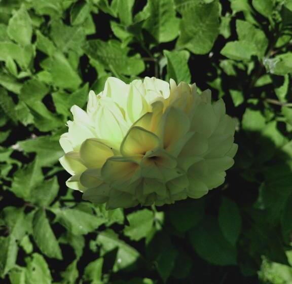 Bed and Breakfast Rectoria Nova