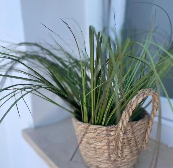 Bed and Breakfast Room 24