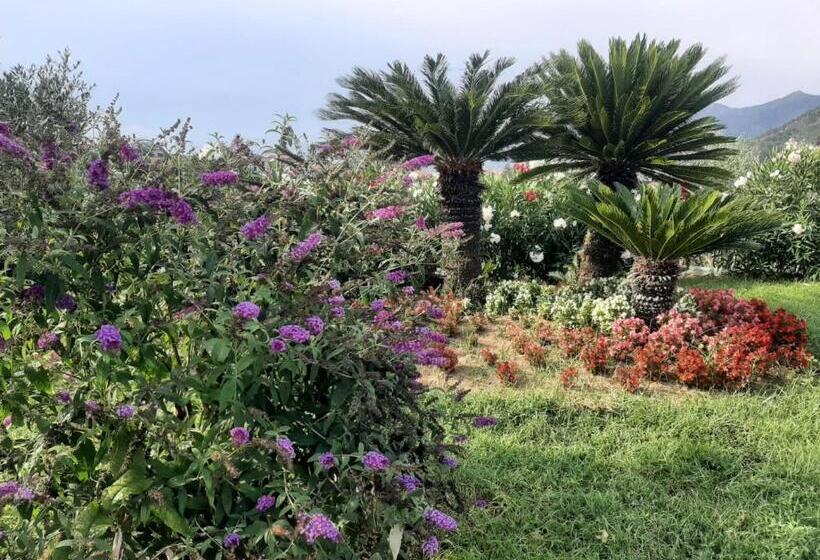 צימר Terra Vitale