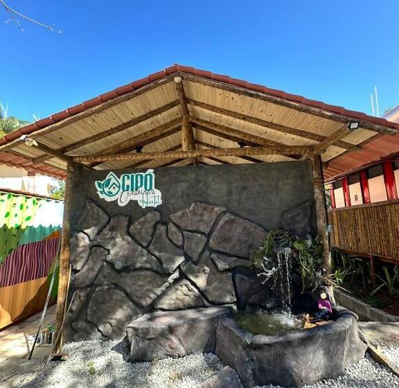 Cipó Container Hostel   Quartos Em Cápsulas E Alojamento Feminino