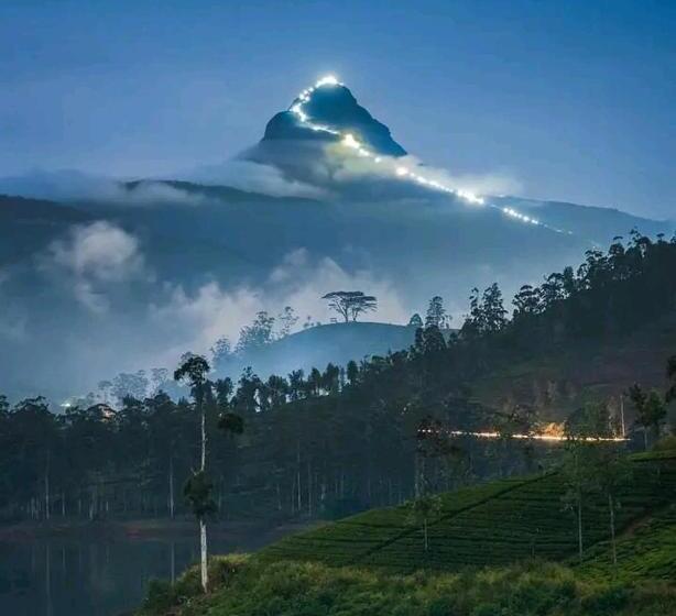 Отель Haranya Homestay